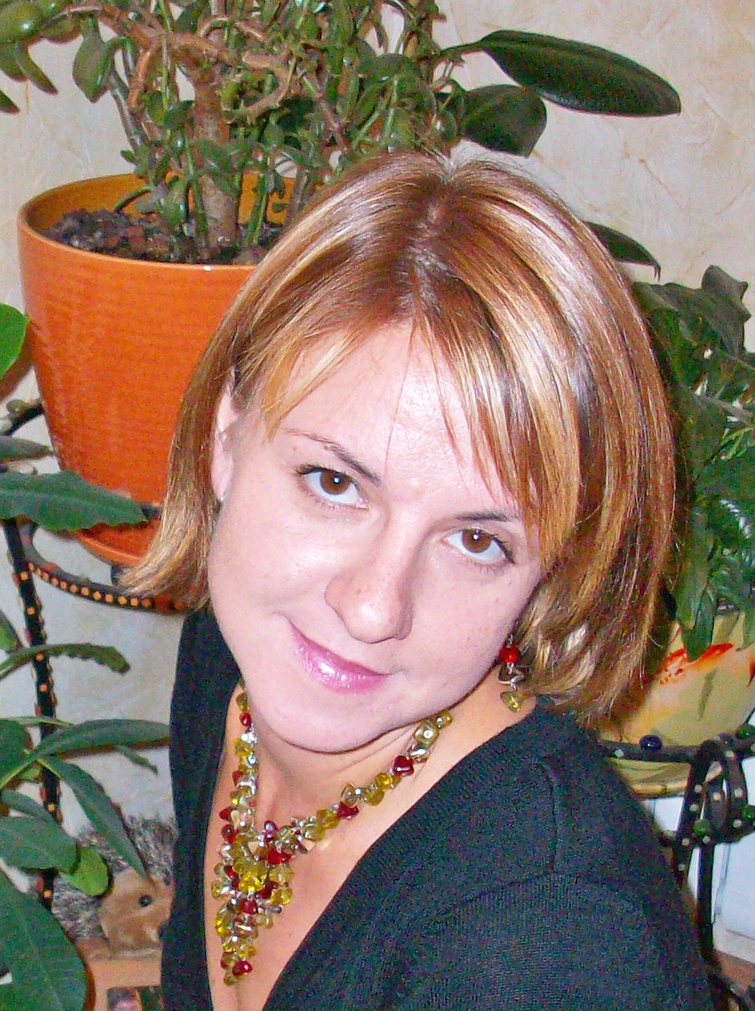 Чехарина